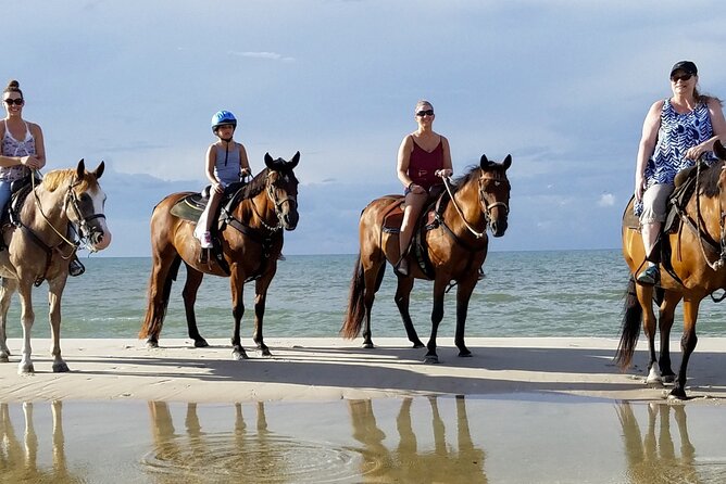 Cartagena: Horseback Riding at the Beach During Day or Sunset - What the La Boquilla Ride Is Really Like