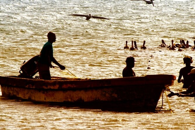 Cartagena: Horseback Riding at the Beach During Day or Sunset - The Beach Route and Its Rural Character