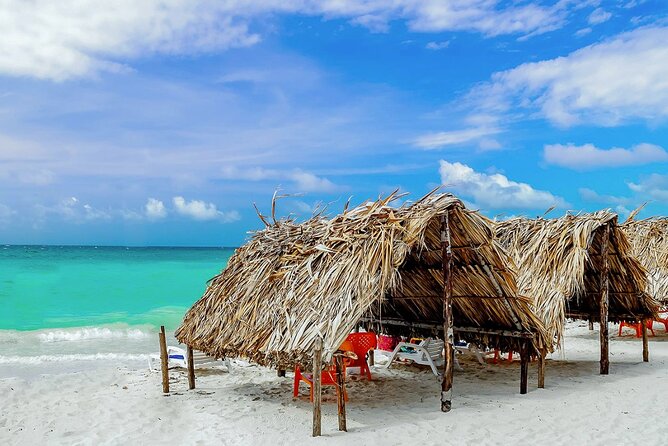 Cartagena: Horseback Riding at the Beach During Day or Sunset - Getting There Without a Bad Start