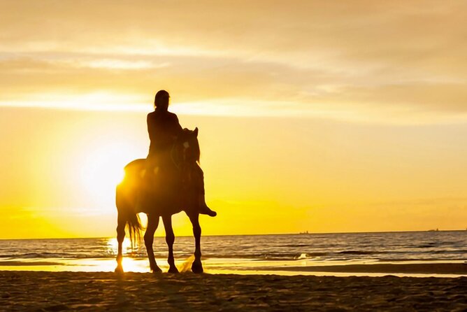Cartagena: Horseback Riding at the Beach During Day or Sunset - Price, Group Size, and Overall Value