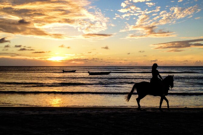 Cartagena: Horseback Riding at the Beach During Day or Sunset - Meeting José and Learning the Basics