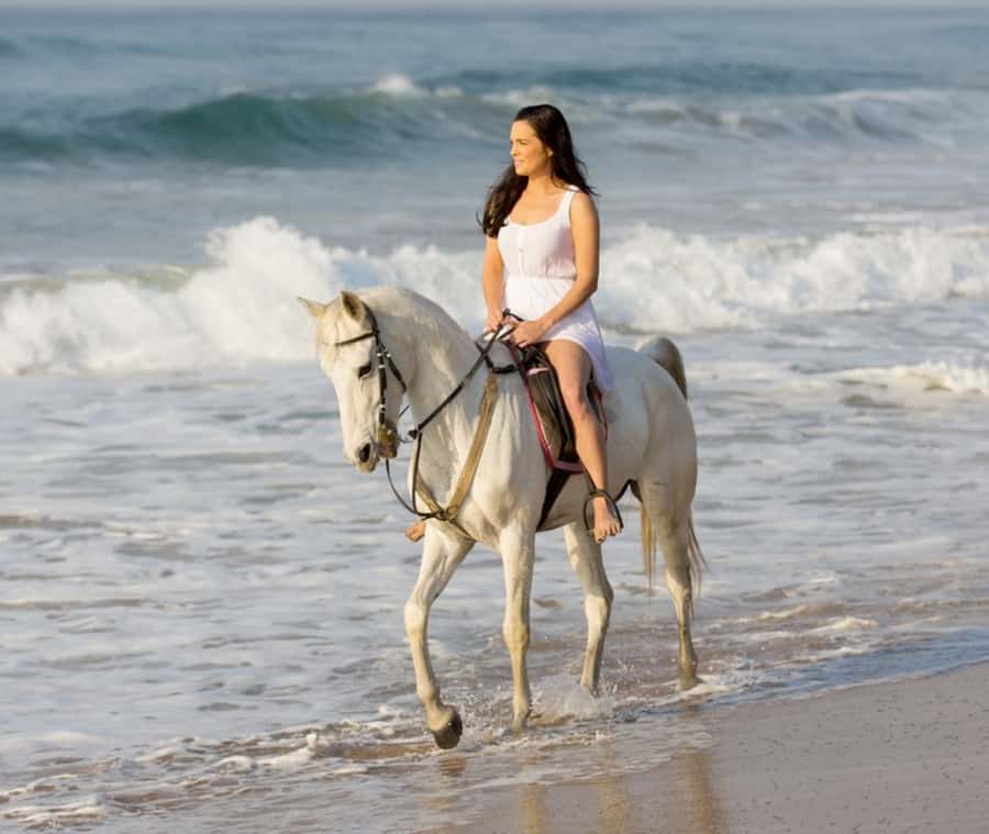Cartagena: Horseback Riding on the Beach at Sunset - Why this beach ride feels different from a standard Cartagena tour