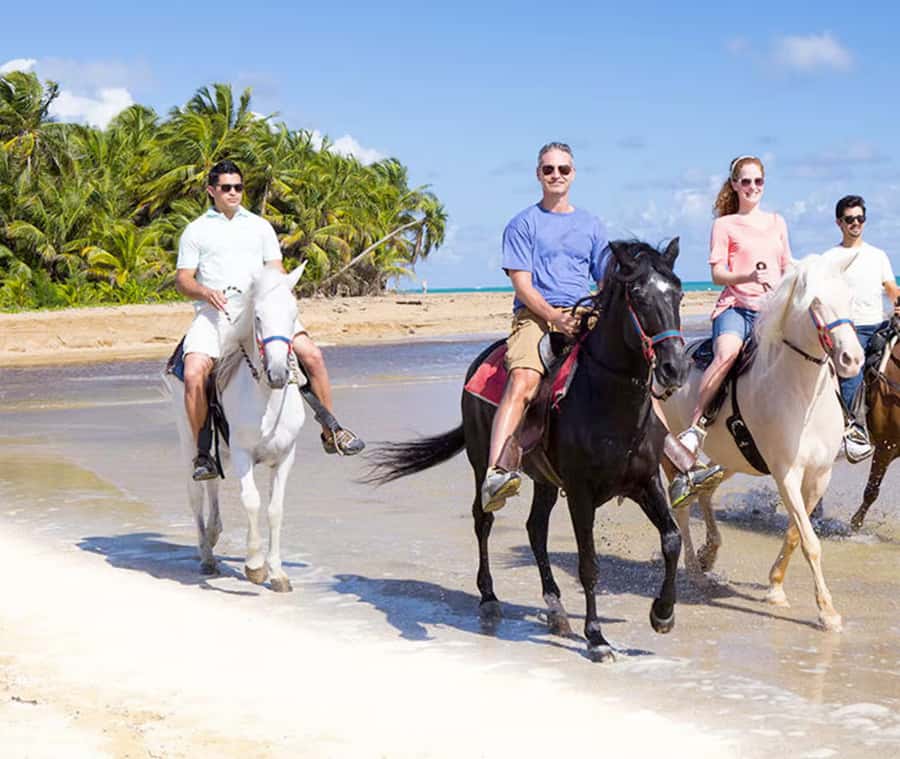 Cartagena: Horseback Riding on the Beach at Sunset - Meeting José, Gabriel, Miguel, and the horses