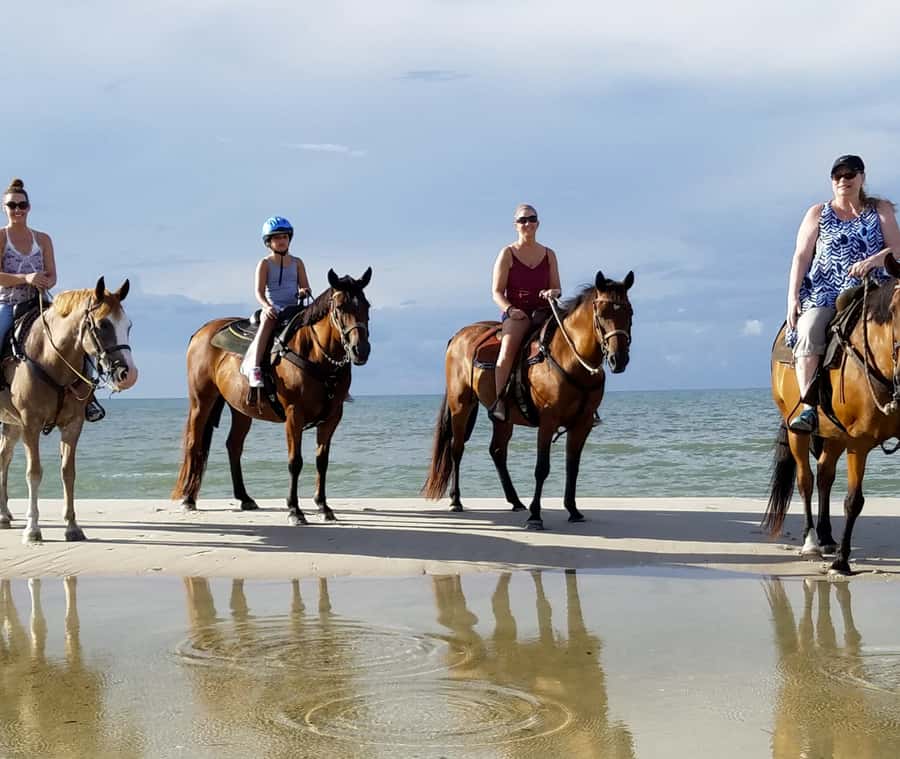 Cartagena: Horseback Riding on the Beach at Sunset - What the local and environmental angle adds