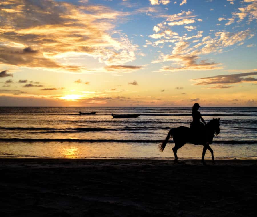 Cartagena: Horseback Riding on the Beach at Sunset - Practical preparation for the beach