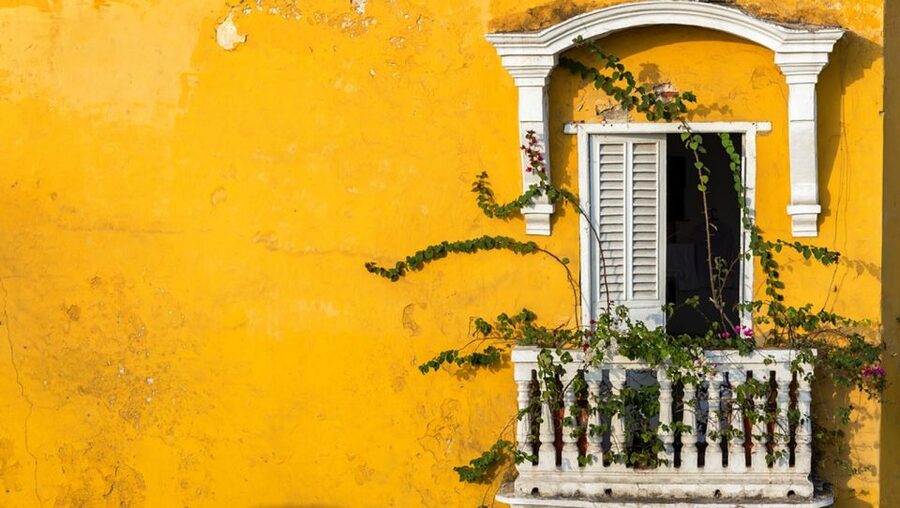 Cartagena Instagram Mobile Workshop: Scenic and Trendy Shots - What the $75 price really buys you