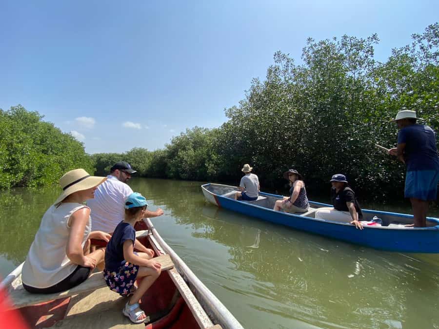 Cartagena: Mangrove Eco Tour & Fishing with Transportation - Fisherman Island and local life