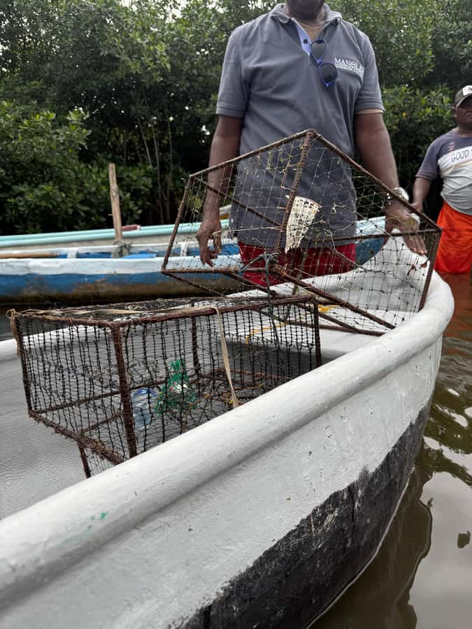 Cartagena: Mangrove Eco Tour & Fishing with Transportation - Who will enjoy this outing?