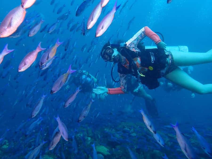 Cartagena: PADI DISCOVER SCUBA / MINICURSO DE BUCEO - Learning the basics before your first reef session