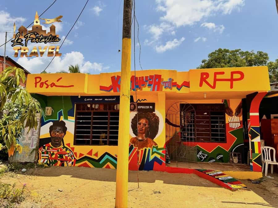 Cartagena: Palenque Tour and Road to Emancipation - Traditional medicine and community knowledge