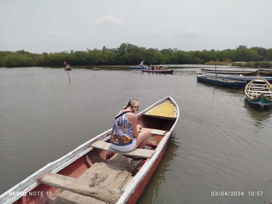 Cartagena: Private Sail in the mangrove GUIDE in ENGLISH - The biggest weakness: communication and transport