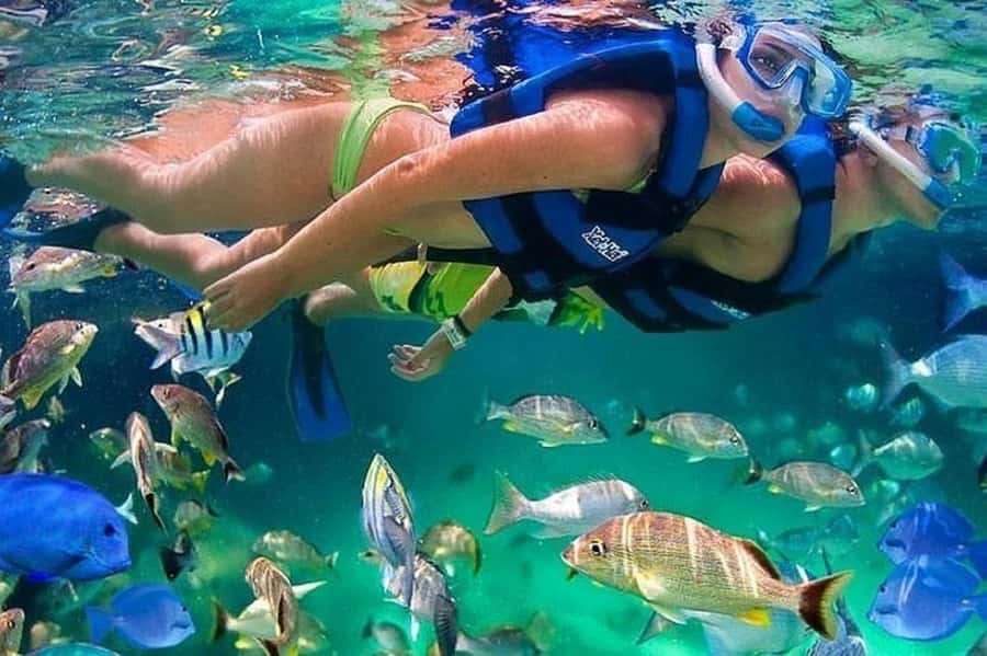 Cartagena: Raccoon Island Snorkel, Mangrove, Photos & Lunch - A seven-hour Barú day from Cartagena