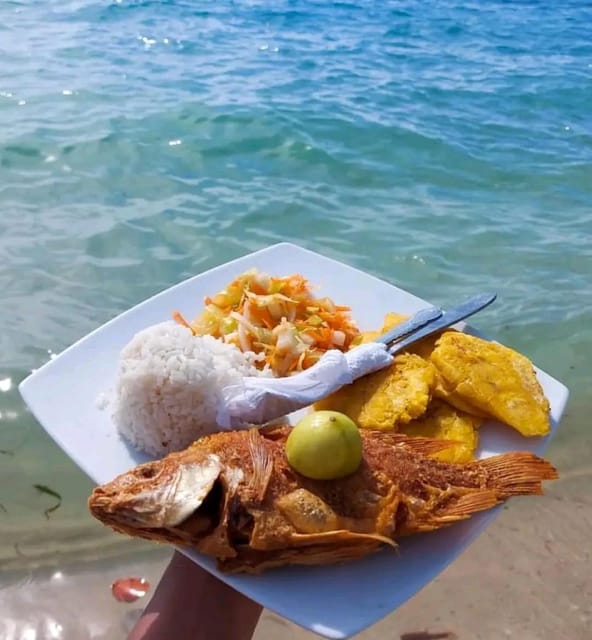 Cartagena: Raccoon Island Snorkel, Mangrove, Photos & Lunch - Snorkeling, fish, and the underwater photographs