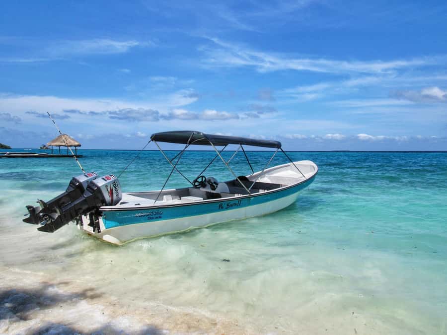 Cartagena: Rosario Island and Mangroves Private Day Trip - Guides, communication, and the private format