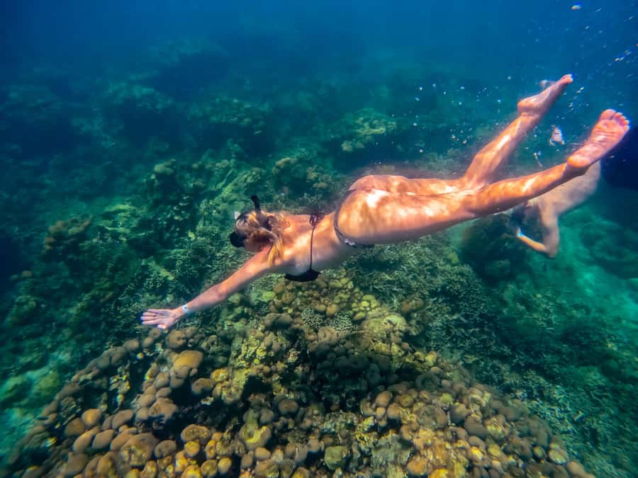 Cartagena: Rosario Islands Day Tour with Snorkel & Lunch - Key points to know before you book