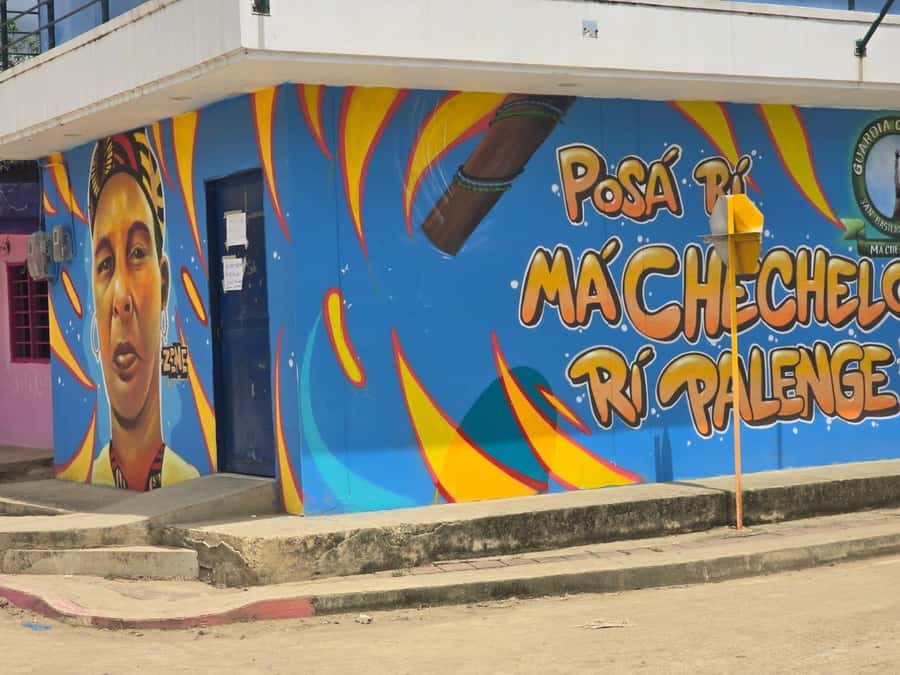 Cartagena: San Basilio de Palenque Guided Day Trip - Music, dance, and the sound of Palenque