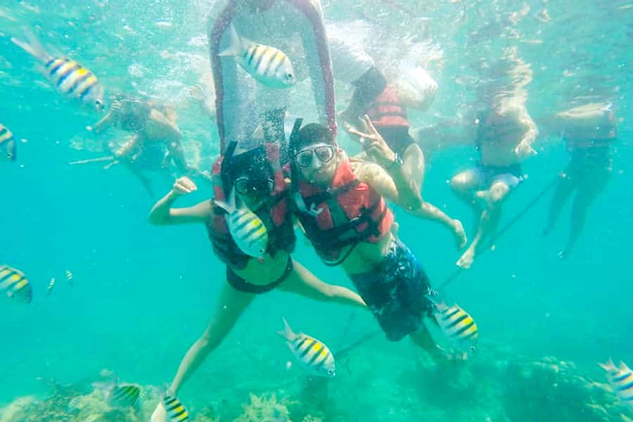 Cartagena: Snorkel, Mangroves and Playa Blanca Tour - Key points to know before you book