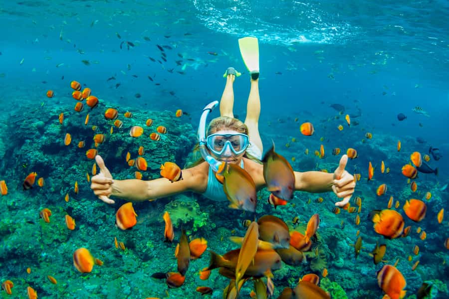 Cartagena: Snorkel, Mangroves and Playa Blanca Tour - Snorkeling Barú’s coral and fish
