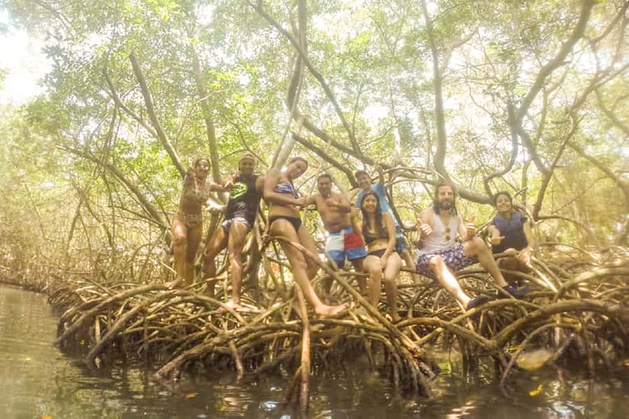 Cartagena: Snorkel, Mangroves and Playa Blanca Tour - Through the mangrove tunnel
