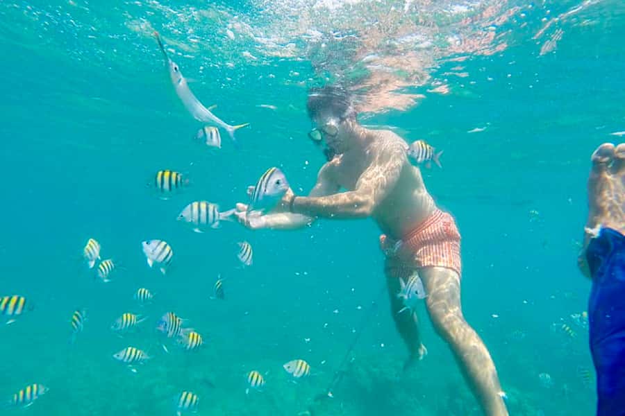 Cartagena: Snorkel, Mangroves and Playa Blanca Tour - Playa Blanca lunch and an afternoon by the sea