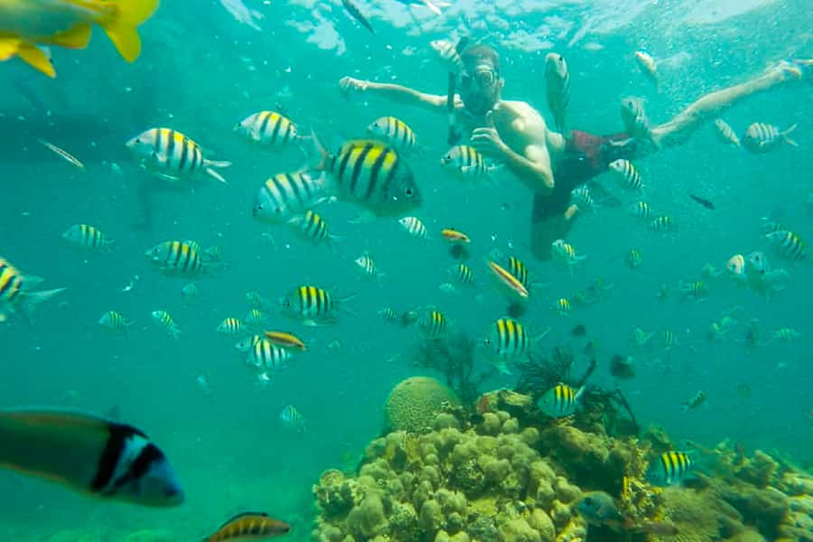 Cartagena: Snorkel, Mangroves and Playa Blanca Tour - What guides add to the day