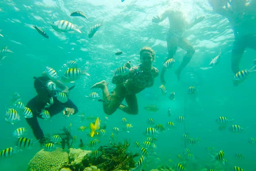 Cartagena: Snorkel, Mangroves and Playa Blanca Tour - Value, comfort, and who should choose it