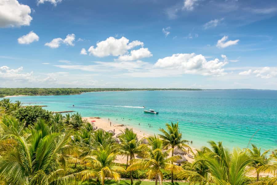 Cartagena: Snorkel, Mangroves and Playa Blanca Tour - Should you book the Barú snorkeling and mangrove tour?