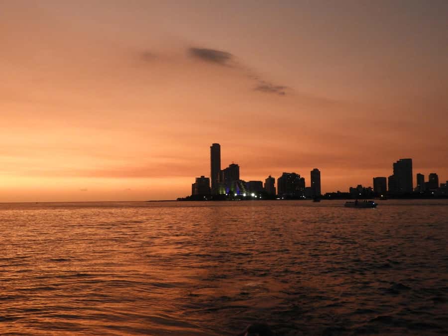Cartagena: Sunset baytour with Dj, drinks and disco - Music, dancing, and the role of the entertainer