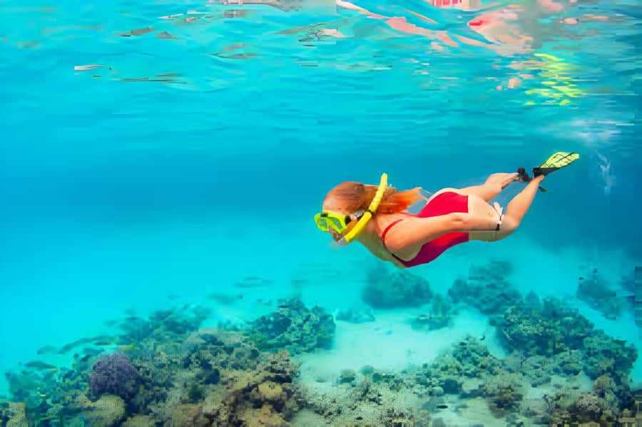 Cartagena: Tour to Playa Tranquila with Snorkeling + Luminous Plankton and Parasol - Key points before you book