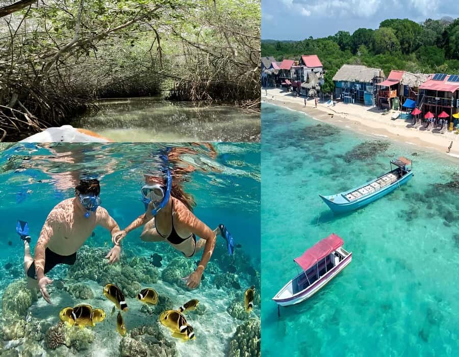 Cartagena: Visit 4 islands in a speedboat + plankton! - Rosario Islands: scenery, boats, and optional extras