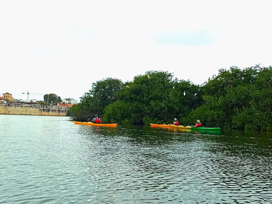 Cartagena: Walled City Kayak Tour - Entering San Lázaro lagoon through the Román bridge