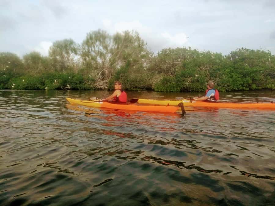 Cartagena: Walled City Kayak Tour - Is $73 a fair price?