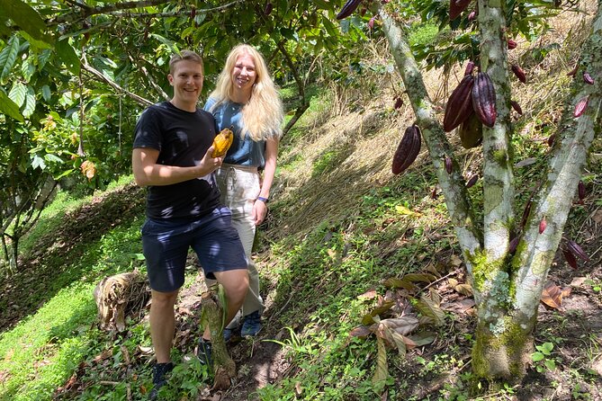 Chocolate tour near Medellin - From Medellín streets to a cacao farm near Copacabana