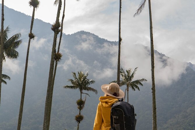 Cocora Valley and Salento Hike Tour - The Willys jeep ride and the working coffee region