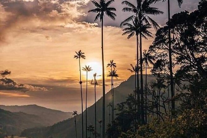 Cocora Valley and Salento Hike Tour - What the $99 price really covers