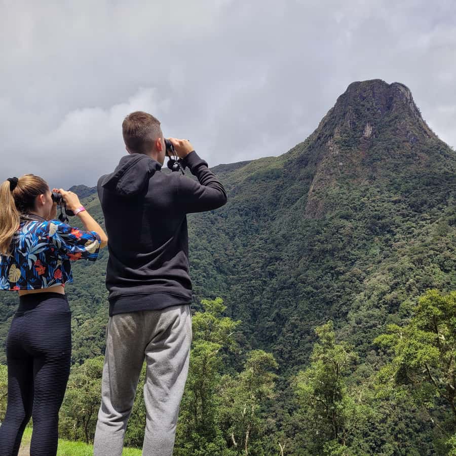 Cocora Valley: Route of the Hummingbirds + breakfast & lunch - Key points at a glance