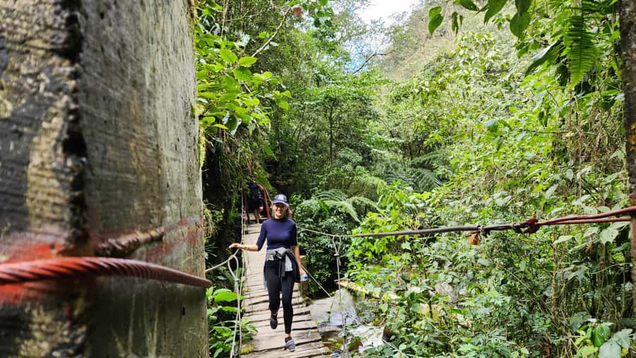 Cocora Valley: Route of the Hummingbirds + breakfast & lunch - Who should book this outing