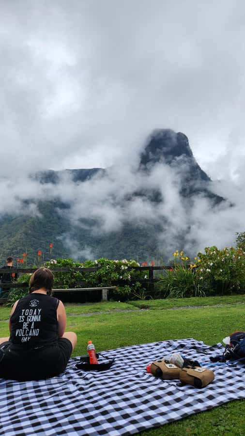 Cocora Valley: Route of the Hummingbirds + breakfast & lunch - The hummingbird house and the Acaime stop