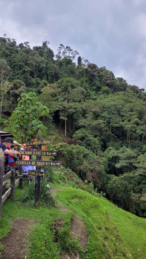 Cocora Valley: Route of the Hummingbirds + breakfast & lunch - Views toward Morrogacho and the wax palms