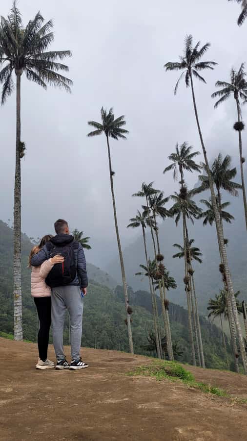 Cocora Valley: Route of the Hummingbirds + breakfast & lunch - The guides make the birding useful