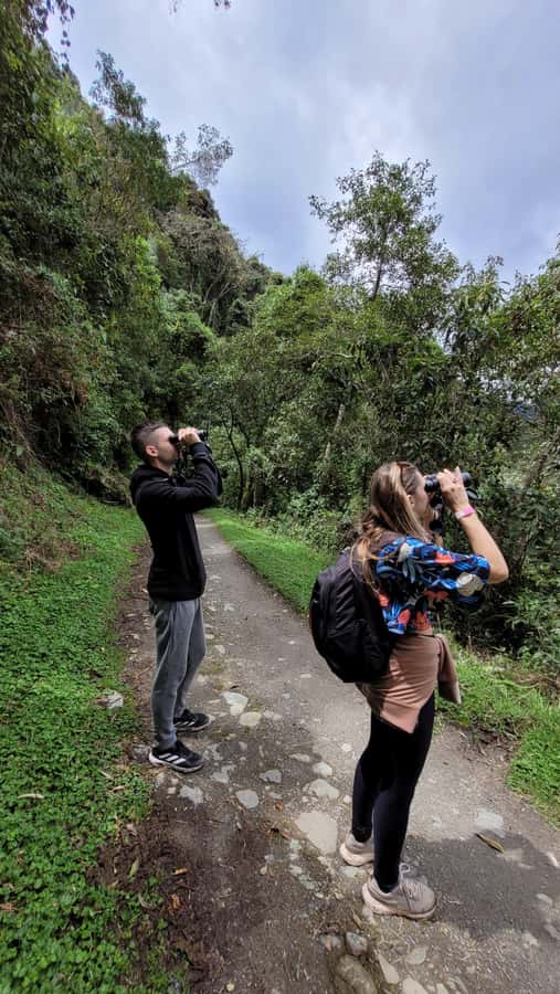 Cocora Valley: Route of the Hummingbirds + breakfast & lunch - What the $129 price includes