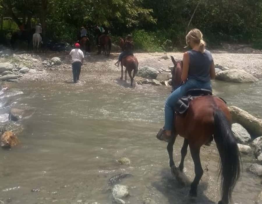 Cocora Valley: Salento & Private Horseback Riding Tour - What the $171 price really buys