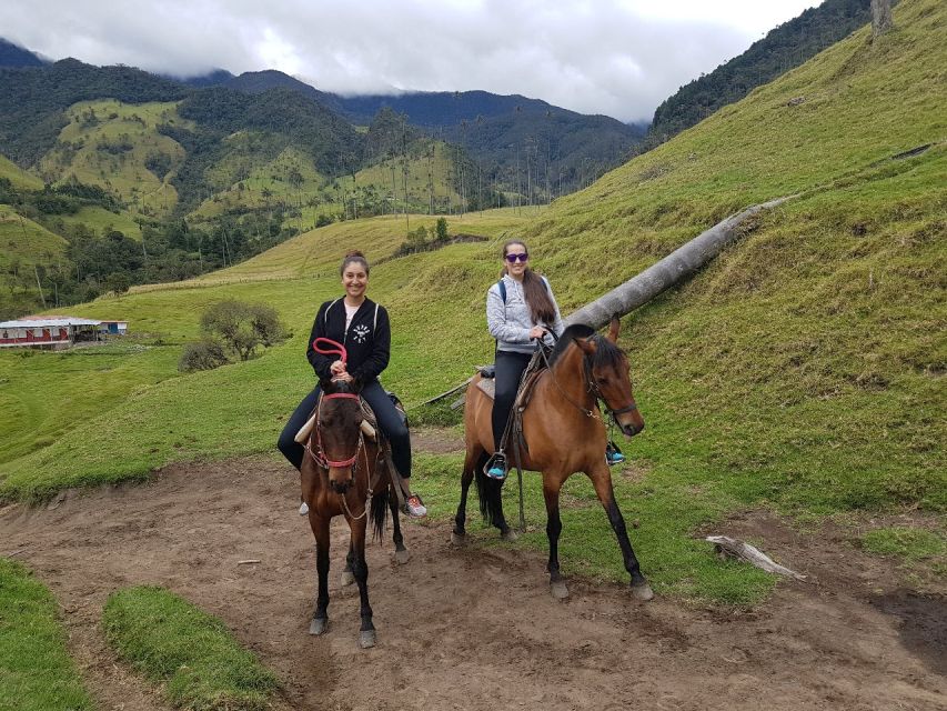 Cocora Valley: Salento & Private Horseback Riding Tour - Pickup areas, timing, and flexibility