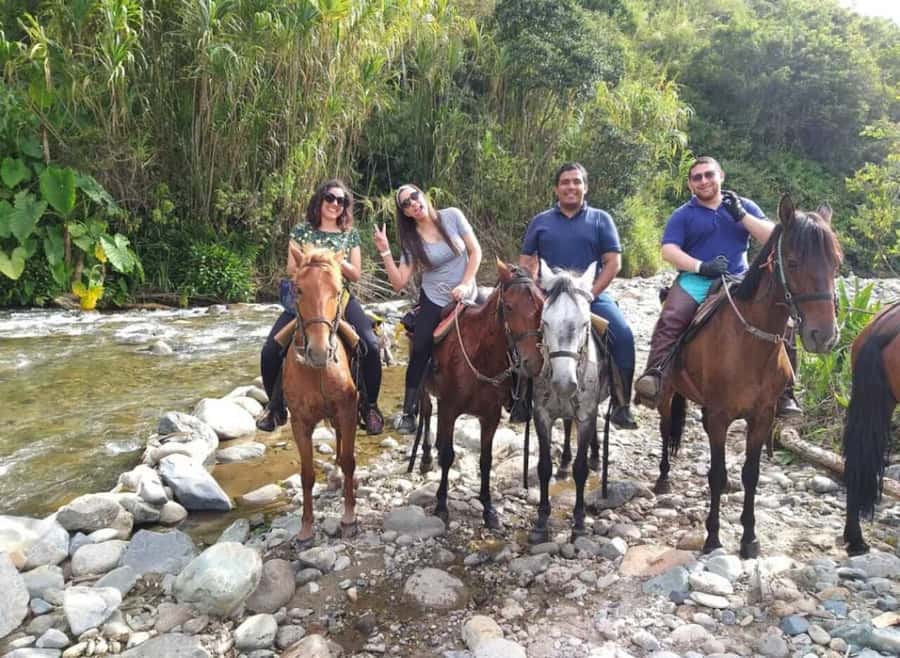 Cocora Valley: Salento & Private Horseback Riding Tour - My call: book it if you want variety, not just a viewpoint