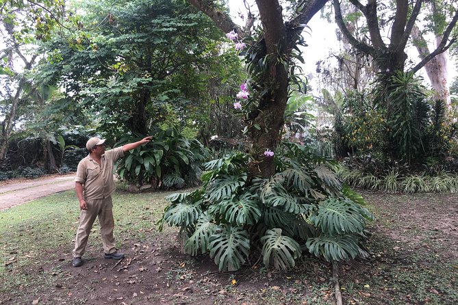 Coffee Farm Experience Private Day Tour - From seed to cup