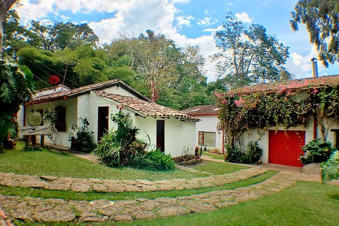 Coffee Farm Experience Private Day Tour - Lunch and local food