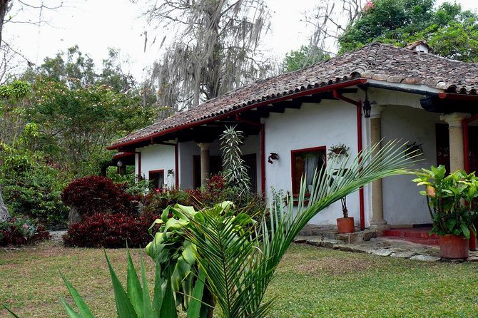 Coffee Farm Experience Private Day Tour - What the private format is worth at $110