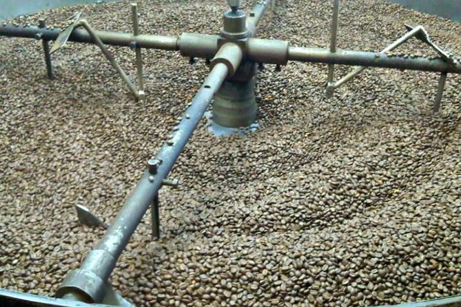 Coffee Farm Experience Private Day Tour - Walking through Hacienda Coloma