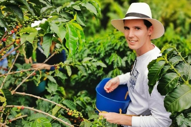 Coffee Tour in the Beautiful Jardin Town: Adventure in the Andes - Guides who add more than directions