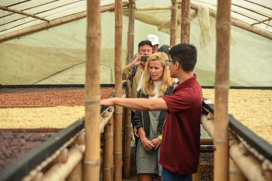 Coffee Tour Salento-Ocaso Farm- English Tour - Who will get the most from this tour